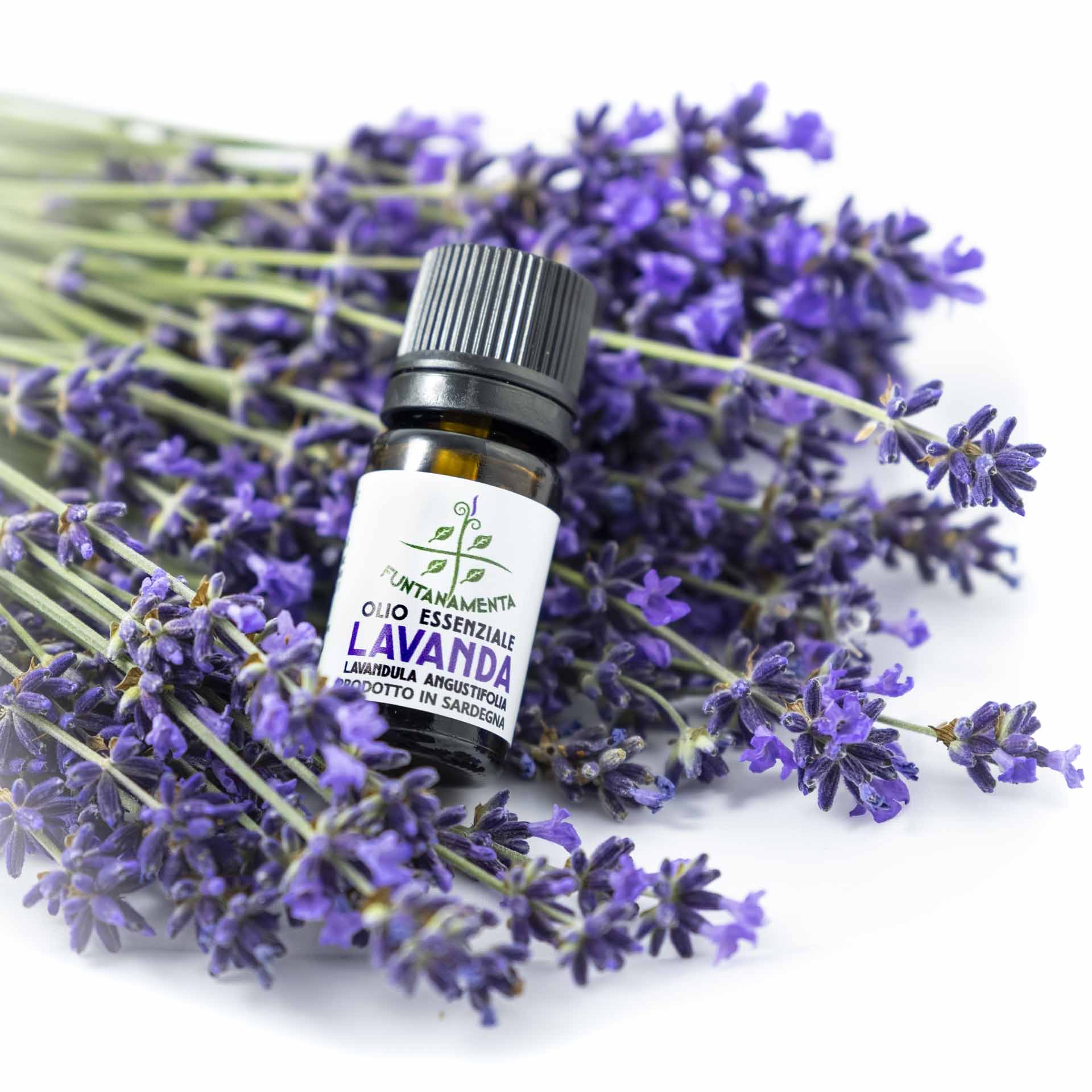 Olio Essenziale di Lavanda - LAVANDULA ANGUSTIFOLIA OIL